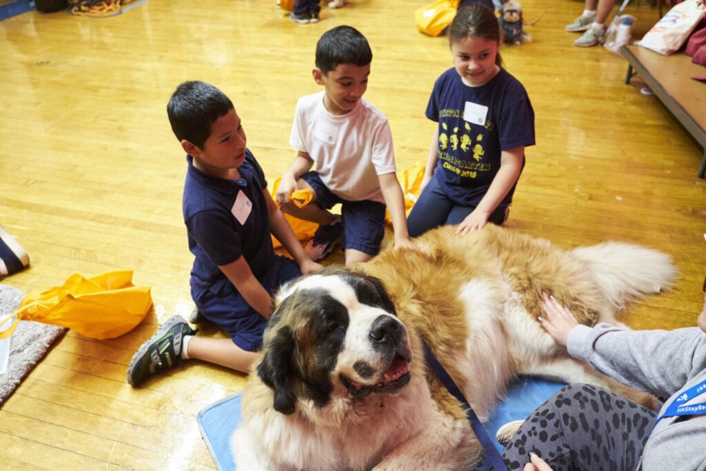 Three children sit on the floor petting a large St. Bernard dog in a gymnasium, with other people and dogs visible in the background.
