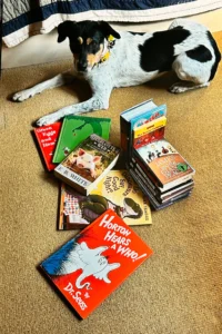 A black and white dog lies on a carpet next to a spread of children's books and DVDs, including "Horton Hears a Who!" and "Charlotte's Web.