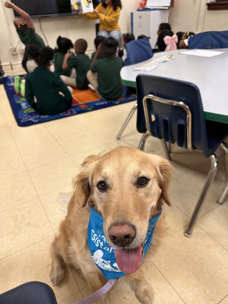 A golden retriever wearing a blue bandana sits in a classroom, with children seated on a colorful rug and an adult reading a book in the background.