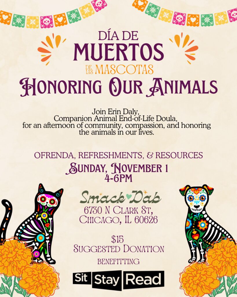 Event flyer for Día de Muertos de las Mascotas on Sunday, November 1 at Smack Dab, Chicago, featuring a suggested donation benefiting Sit Stay Read.